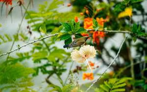 Tre sinh vao 3 khung gio Am lich nay, phuc khi doi dao-Hinh-8