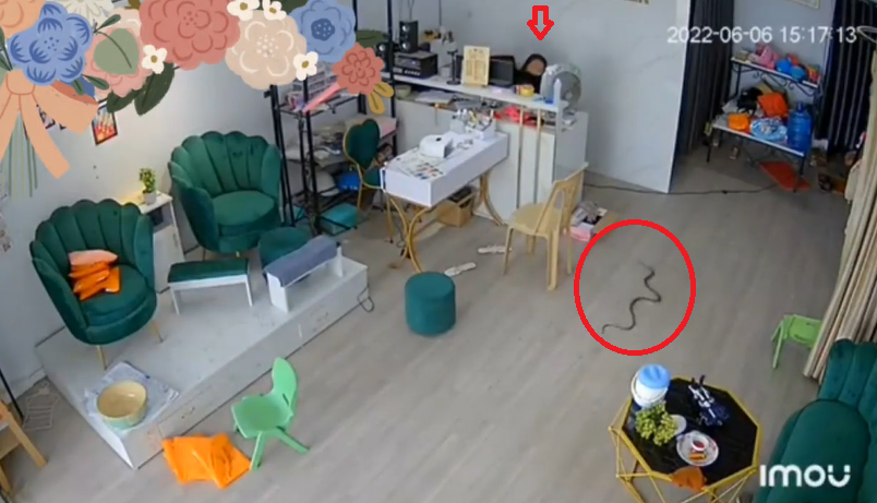 Con ran 'ghe tham' tiem nail, co gai nhay phat len ban vi so