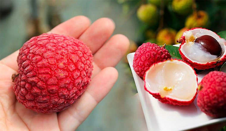 Loại quả Việt được người Nhật ưa chuộng vì đẹp da Loai qua Viet duoc nguoi Nhat ua chuong vi dep da