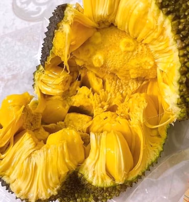 Mấy năm gần đây, mít mật bỗng được "săn lùng" ở thành phố