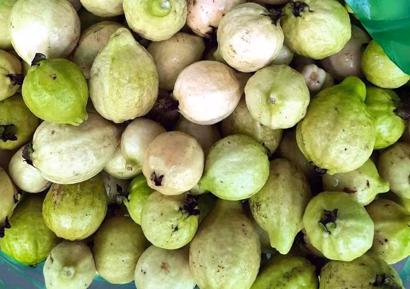 Oi mo thom lung, ba noi tro chieu chong dat mua ve ngam ruou-Hinh-3