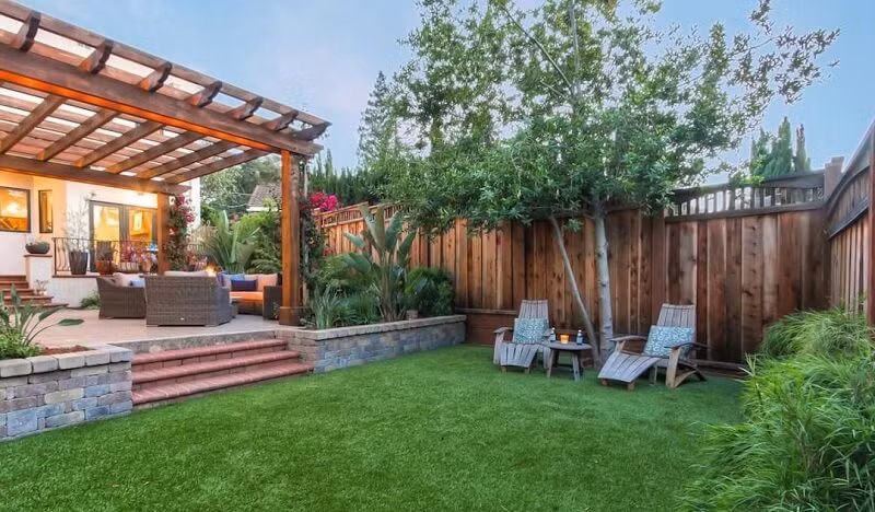 6 loai cay phong thuy kich hoat loc khi, nha giau nao cung co-Hinh-2