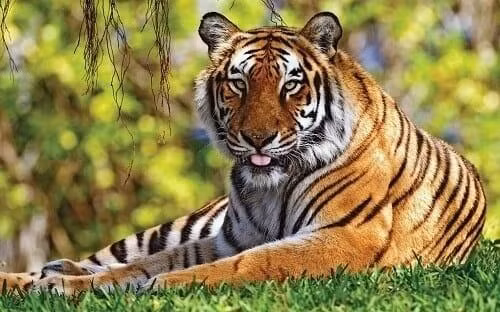 Cuoi thang 9 Am lich: Nguoi sao Ke Do 'hung xo' loc la