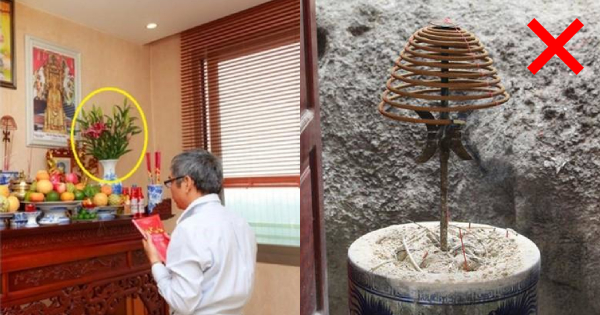 5 mon do khong dung cung khong duoc cho di keo tu tay xua duoi than Tai