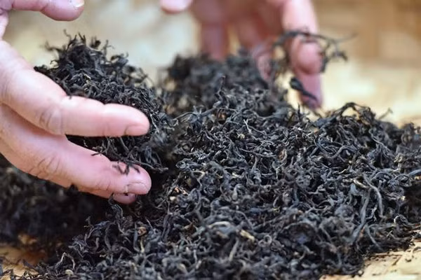 Hai loai nuoc uong vao bua sang cua vua Charles-Hinh-2