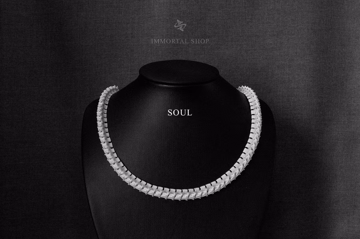 Chang trai Ca Mau kiem tien tu nhan, vong tay xuong ran-Hinh-5