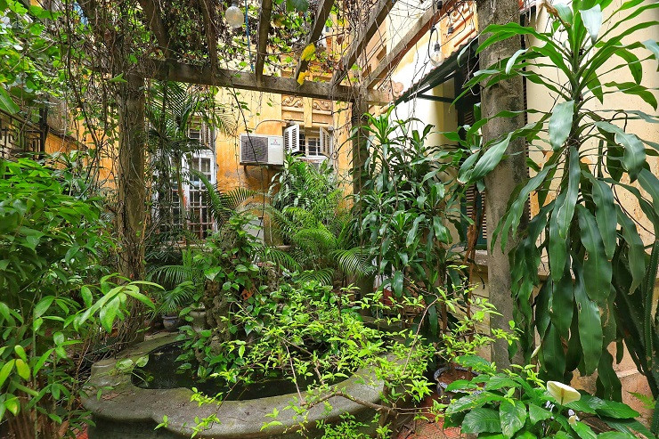 Phần sân vườn rộng, ngập tràn cây xanh, trước đây từng được sử dụng để kinh doanh quán cà phê.