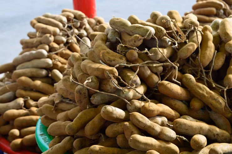 Ở siêu thị còn có me tách hạt đóng túi, bảo quản ngăn lạnh có thể dùng dần để nấu canh, kho cá... được bán với giá khoảng 50.000-70.000 đồng/kg.