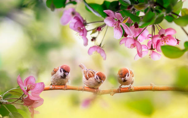 Sinh ngày Âm lịch nào có hy vọng làm giàu trong năm nay? - Hình 3 Sinh ngay Am lich nao co hy vong lam giau trong nam nay?-Hinh-3