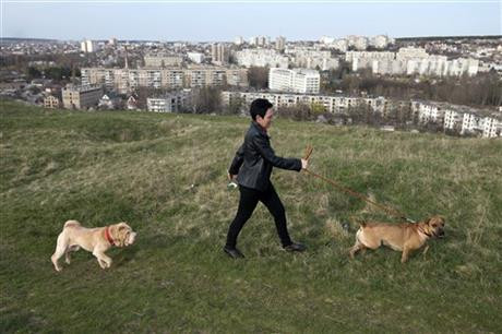 Một buổi đi dạo chơi của hai chú cún cưng tại một quả đồi ở thủ phủ Simferopol, hôm 25/3.