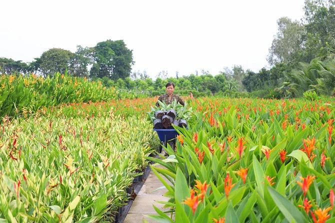 Nhieu chuong trinh an tuong tai Festival Hoa - Kieng Sa Dec