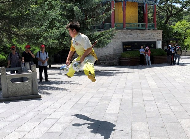 Mon phai vo thuat Khong Dong co thuc su ton tai?-Hinh-2