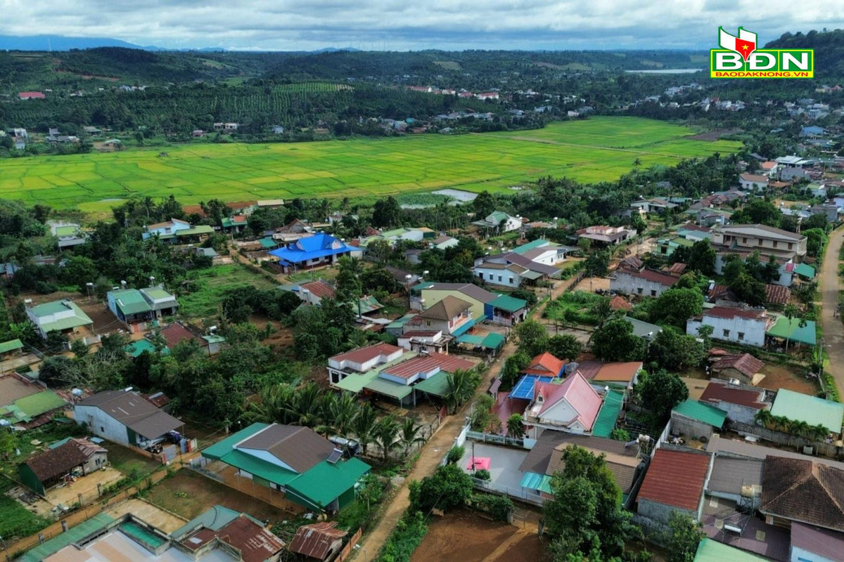 Thung lung mat troi moc o Dak Nong - noi gap go cua nuoc va lua-Hinh-3
