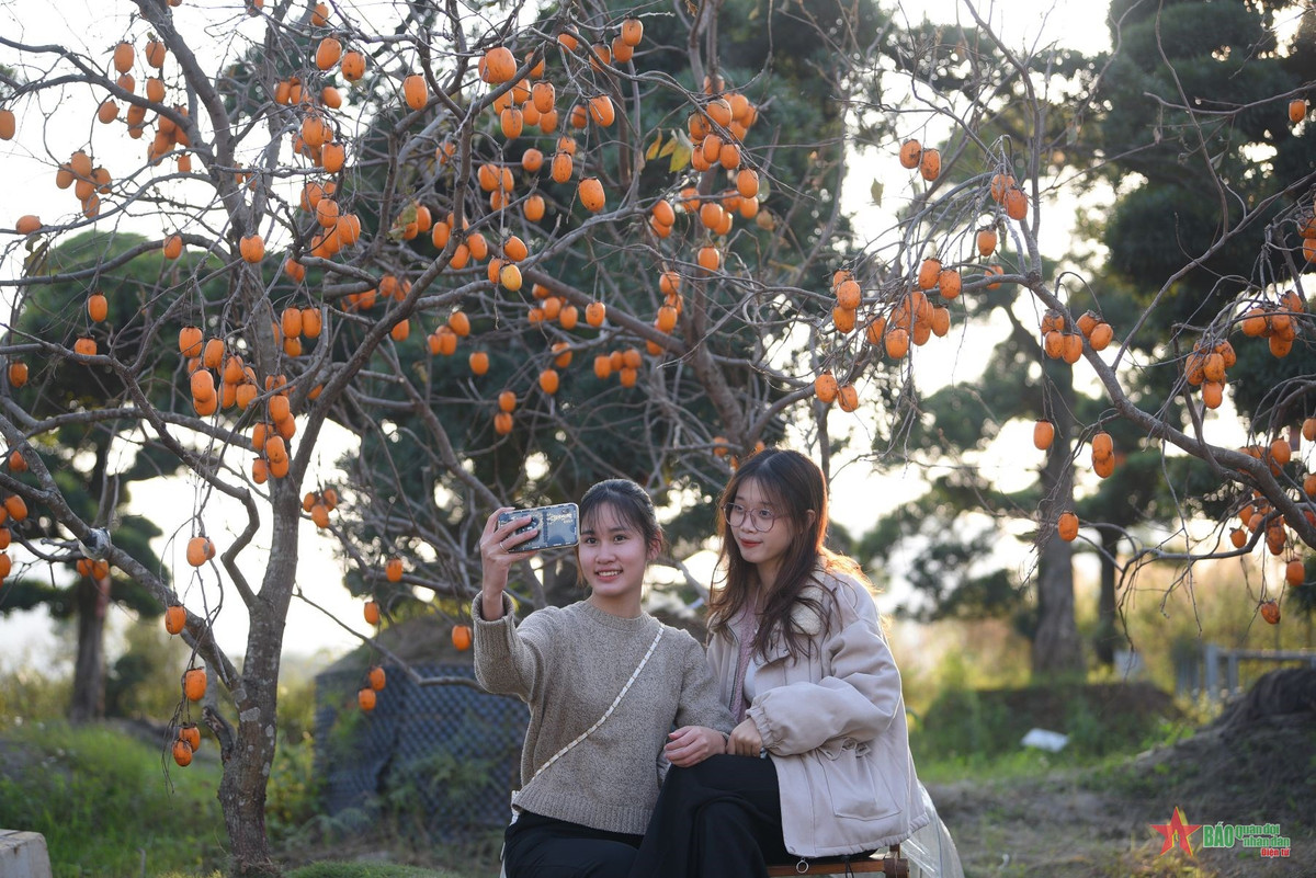 Háo hức check-in vườn hồng rực rỡ ngay giữ lòng Hà Nội - Hình 7 Hao huc check-in vuon hong ruc ro ngay giu long Ha Noi-Hinh-7