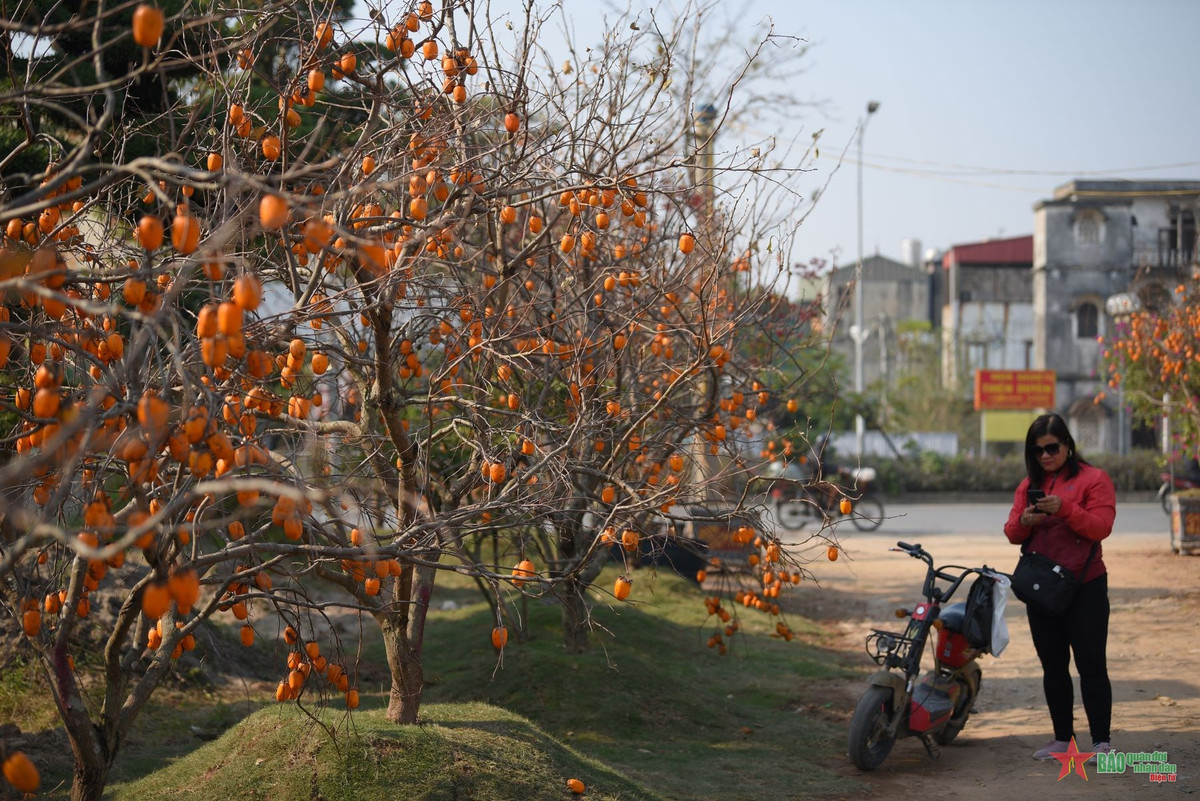 Háo hức check-in vườn hồng rực rỡ ngay giữ lòng Hà Nội - Hình 3 Hao huc check-in vuon hong ruc ro ngay giu long Ha Noi-Hinh-3