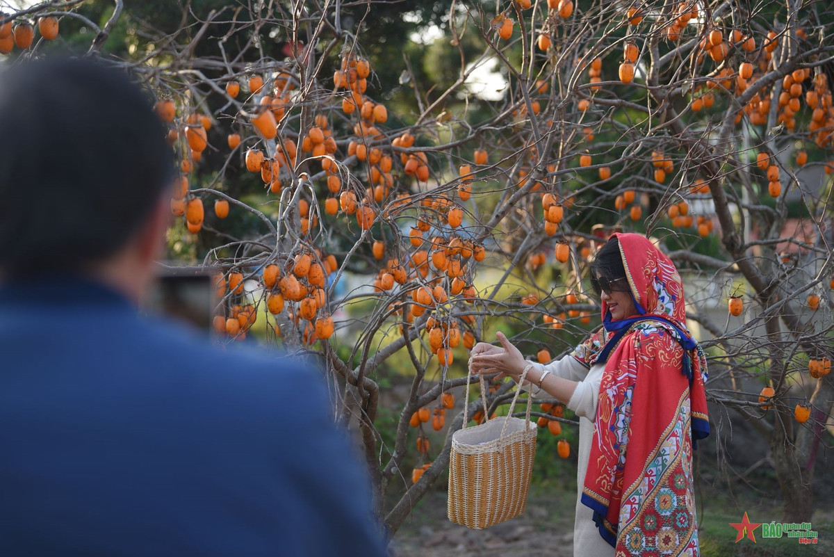 Háo hức check-in vườn hồng rực rỡ ngay giữ lòng Hà Nội - Hình 6 Hao huc check-in vuon hong ruc ro ngay giu long Ha Noi-Hinh-6