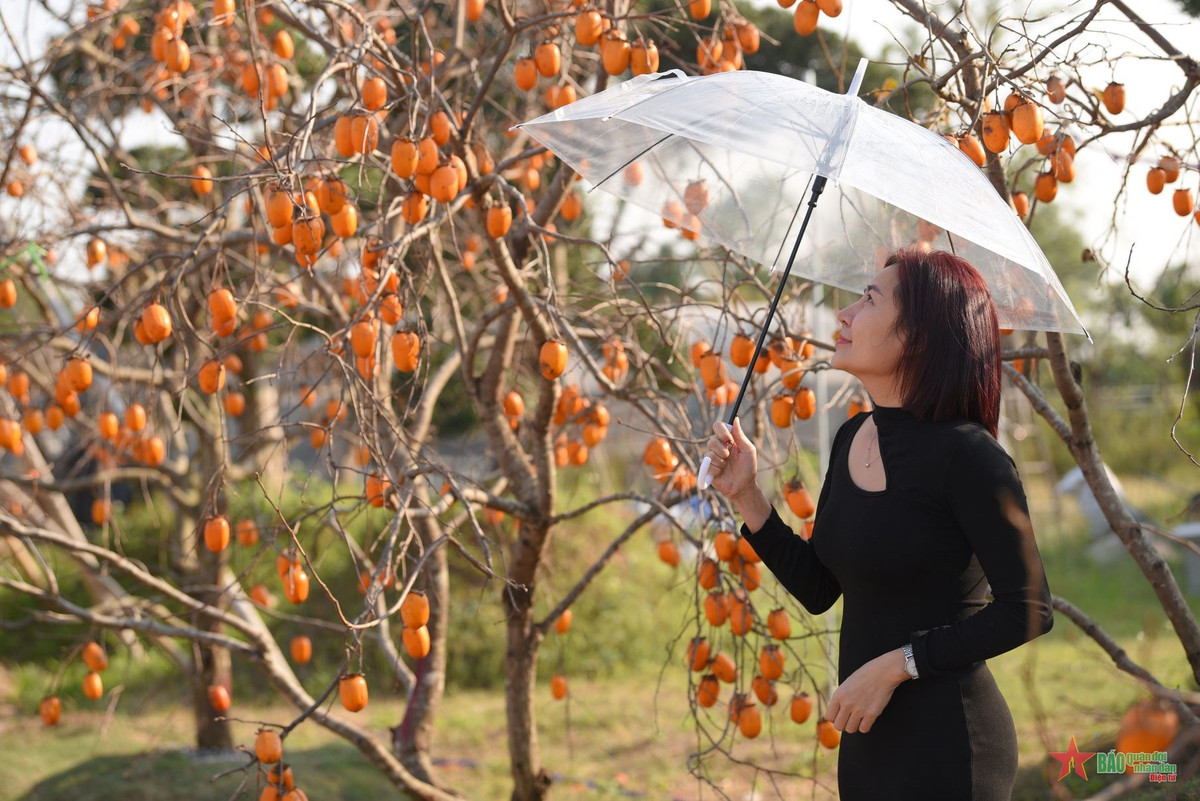 Háo hức check-in vườn hồng rực rỡ ngay giữ lòng Hà Nội - Hình 4 Hao huc check-in vuon hong ruc ro ngay giu long Ha Noi-Hinh-4