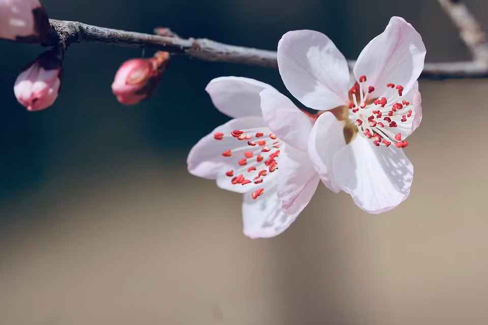 Nguoi co ngay sinh Am lich ket thuc bang 3 so nay, ca doi huong phuc-Hinh-3