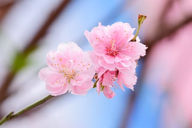 Nguoi co ngay sinh Am lich ket thuc bang 3 so nay, ca doi huong phuc