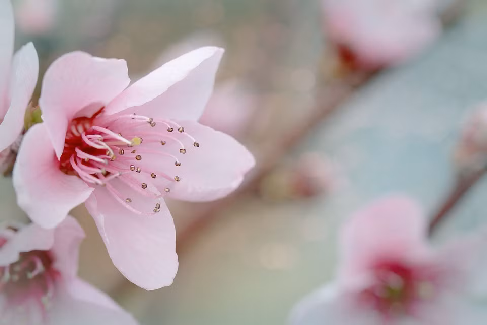 Tre sinh vao 3 khung gio nay, cat tinh chieu roi, thanh danh, thanh tai-Hinh-3