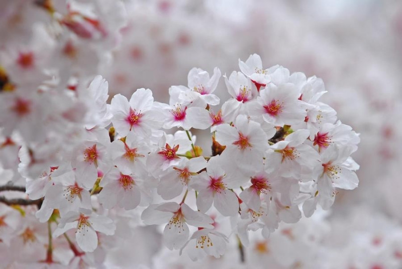 Trẻ sinh vào 3 khung giờ này, cát tinh chiếu rọi, thành danh, thành tài - Hình 2 Tre sinh vao 3 khung gio nay, cat tinh chieu roi, thanh danh, thanh tai-Hinh-2