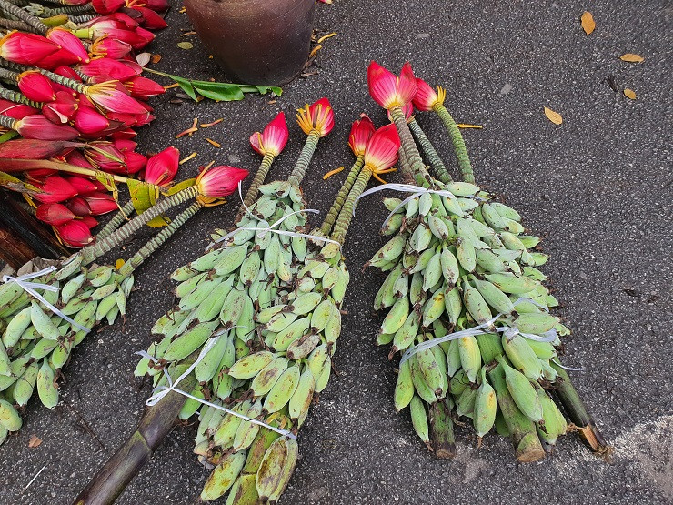 Ruc ro hoa chuoi rung xuong pho gia 50.000 dong/bong-Hinh-4