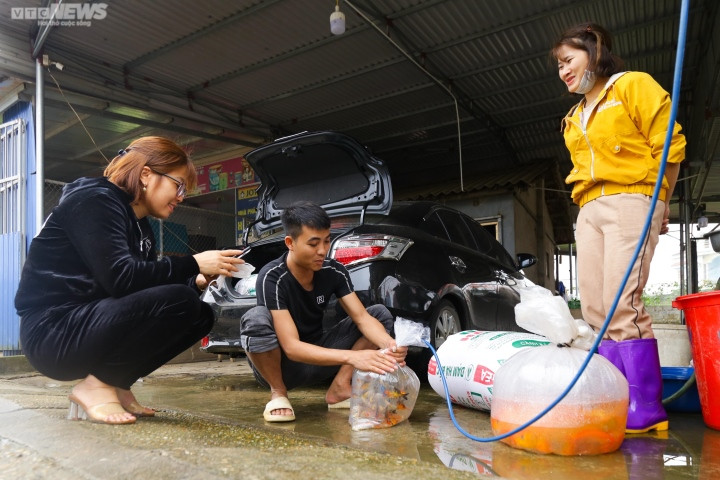 Cá chép đỏ làng Thủy Trầm Cẩm Khê (Phú Thọ) được tiêu thụ chủ yếu ở tỉnh thành phía Bắc như Hà Nội, Sơn La, Yên Bái, Hải Dương, Hải Phòng, Tuyên Quang... Giá bán buôn cho các thương lái tại ao hiện dao động 90.000 - 120.000 đồng/kg.