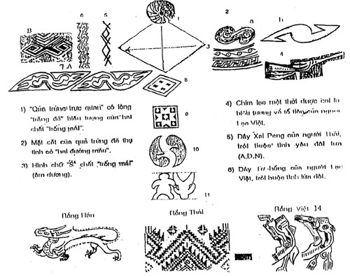 Biểu đồ . Sự hình thành hài nhi từ quả trứng của người mẹ.