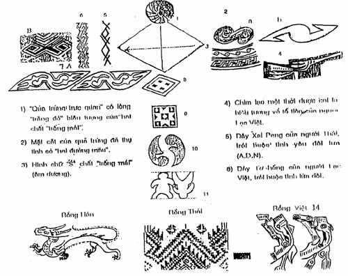 Biểu đồ . Sự hình thành hài nhi từ quả trứng của người mẹ.