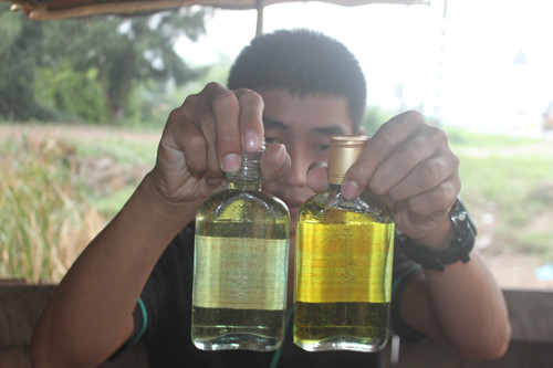 Lọ dầu tràm nguyên chất (trái) có màu trong như nước còn lọ dầu tràm kém chất lượng (phải) có màu mỡ gà.