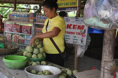 Chị Lê Thị Bình vẫn gom na gối và hạt bán cho Trung Quốc mỗi ngày.