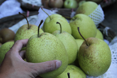 Trong điều kiện bình thường, quả táo hay quả lê không thể để được đến vài tháng mà không hỏng.