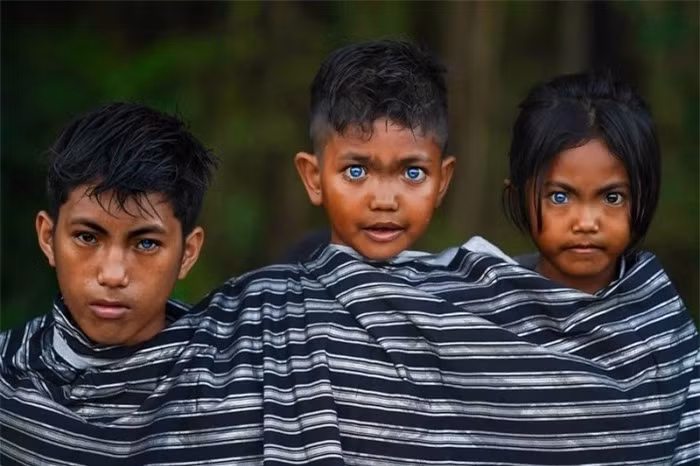 Bo toc so huu doi mat xanh nhu ngoc, an chua dieu so hai-Hinh-4