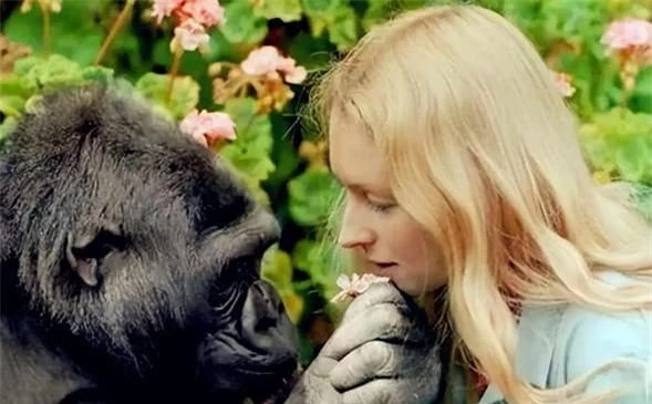 Thí nghiệm gây sốc: Tiêm tinh trùng của tinh tinh vào cơ thể người ảnh 2