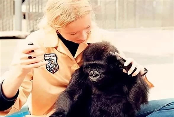 Thí nghiệm gây sốc: Tiêm tinh trùng của tinh tinh vào cơ thể người ảnh 3