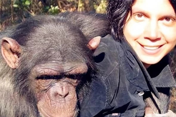 Thí nghiệm gây sốc: Tiêm tinh trùng của tinh tinh vào cơ thể người ảnh 4