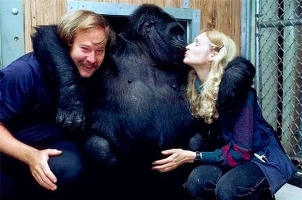 Thí nghiệm gây sốc: Tiêm tinh trùng của tinh tinh vào cơ thể người ảnh 5