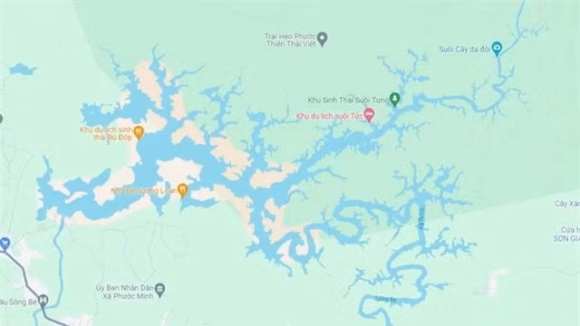 Dong song ‘hoa rong’ cua Viet Nam tung tao nen con sot toan cau-Hinh-3