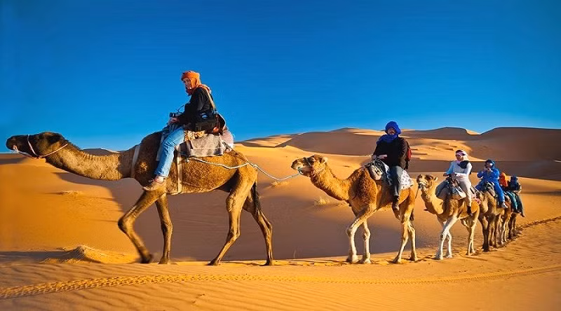 Giai ma ly do lac da vo dich tren sa mac-Hinh-2