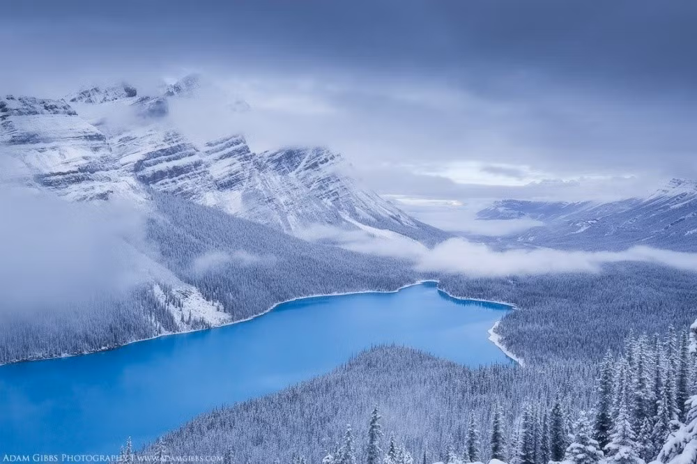 Hồ Peyto xanh biếc nổi bật giữa núi non hùng vĩ của công viên quốc giaBanff, Canada.