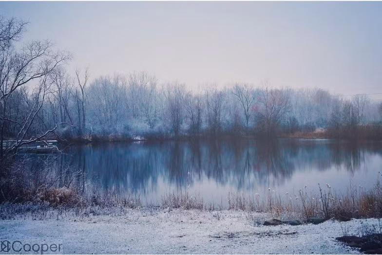 Hồ nhân tạo nhỏ tại vùng Haslett, bang Michigan, Mỹ. Những hàng cây phủ sương giá cùng nền tời xám xanh phản chiếu xuống mặt nước tạo nét buồn man mác. Ảnh: Kylec_cooper/Instagram.
