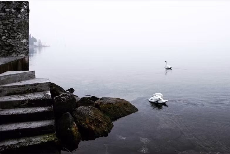 Hồ Garda tại đô thị Sirmione, thuộc tỉnh Brescia vùng Lombardia của Italy. Trên nền sương bao phủ là những con thiên nga lặng lẽ lướt trên dòng nước bình yên. Ảnh: Lumoxx/Instagram.