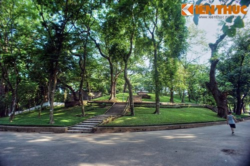 Khi thành lập vào năm 1890, vườn có diện tích trên 33ha, liền kề với quần thể các tòa nhà hành chính và biệt thự của người Pháp ở khu vực Ba Đình. Để cảnh quan bớt đơn điệu do địa hình bằng phẳng, các nhà thiết kế vườn đã cho đắp một ngọn đồi thấp đặt tên là núi Nùng. Vườn là nơi quy tụ nhiều giống cây bản địa quý hiếm từ Bắc chí Nam cũng như trồng thí nghiệm các loài thực vật lạ từ khắp thế giới.