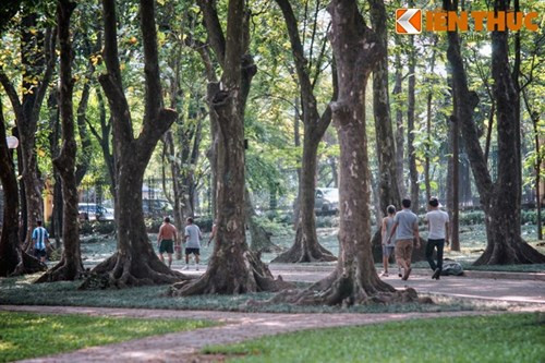 Trải qua nhiều thập niên, vườn Bách thảo dần dần bị thu hẹp do quá trình đô thị hóa cùng một phần khá lớn diện tích được sử dụng để xây dựng các công trình thuộc khu trung tâm hành chính Ba Đình. Diện tích vườn chỉ còn trên 10ha, nằm trong địa phận phường Ngọc Hà, quận Ba Đình.