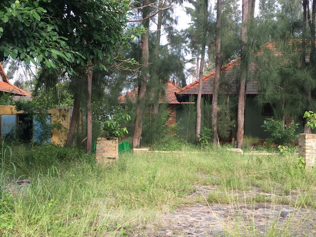 Thế nhưng, tất cả chỉ là kỳ vọng vào tương lai xa.