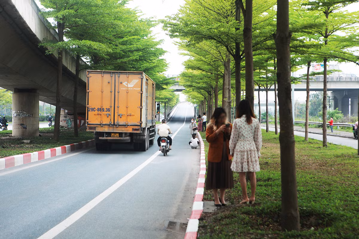 Lối lên Quốc lộ 5 với lối lên cao tốc Hà Nội – Bắc Giang có rất nhiều xe tải lưu thông. Các tài xế khi đi qua đây phải bấm còi liên tục cảnh báo người dân đang mải mê chụp ảnh.