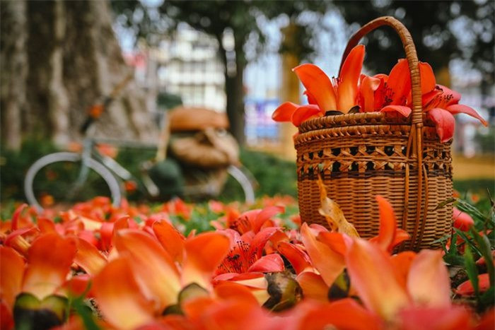 Hiện tại bảo tàng có tổ chức tour tham quan cho khách. Dưới gốc cây hoa gạo được trang trí, mô phỏng lại khung cảnh vùng quê Bắc Bộ thời chiến thông qua hình ảnh những chiếc xe tải gạo, quán nước,...