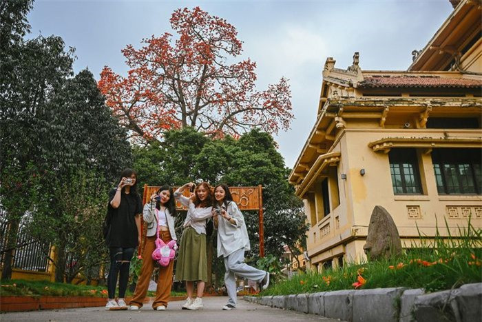 Những ngày qua, đông đảo bạn trẻ tới chụp ảnh cùng cây hoa gạo này. Tăng Hương Giang (19 tuổi) chia sẻ: "Em thấy ở đây rất phù hợp cho những chuyến đi chơi trong ngày. Sau khi ghé thăm bảo tàng, chúng em ra đây để chụp ảnh cùng hoa gạo".
