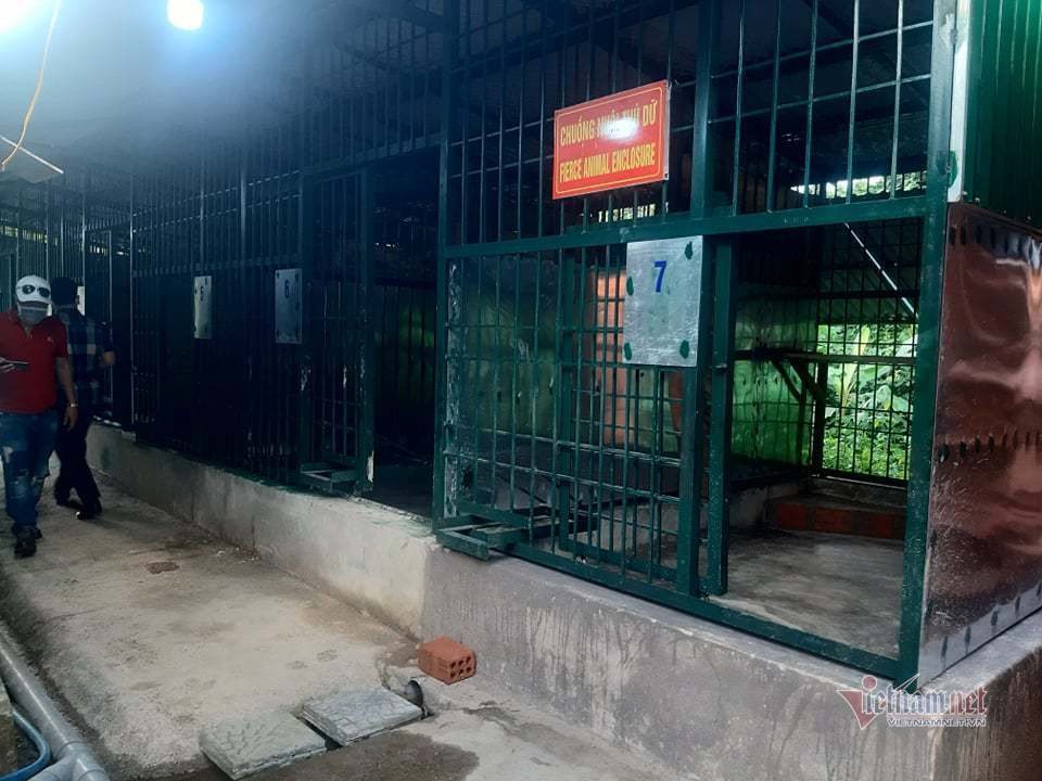Khu cách ly được chuẩn bị để đón đàn hổ. Ảnh: Thanh Hà