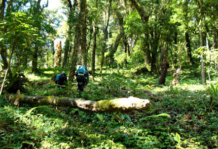 Đại ngàn Tây Côn Lĩnh từng là vương quốc của ngọc am.